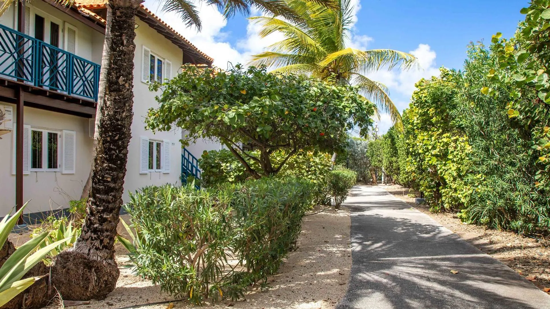 Windsock Caribbean Dream Apartamento Kralendijk  Bonaire, Santo Eustáquio e Saba